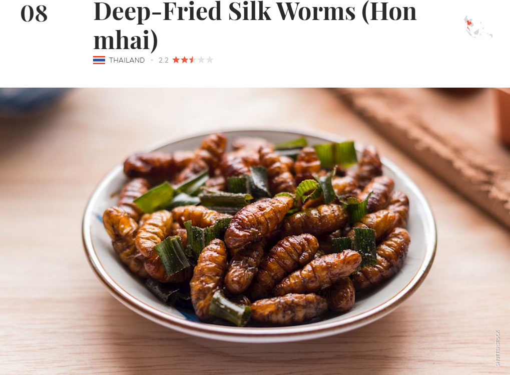 シルクワーム カイコのご飯 1000g そのまま使える 肉の代わりにカイコ