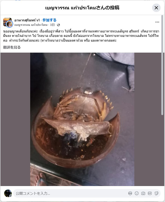 やっぱり食べなくて良かった：タイのカブトガニ - A Dog's World