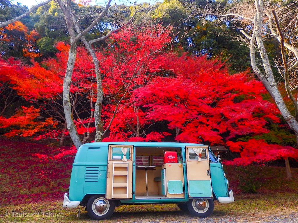 f:id:ishigakiya:20231128150439j:image