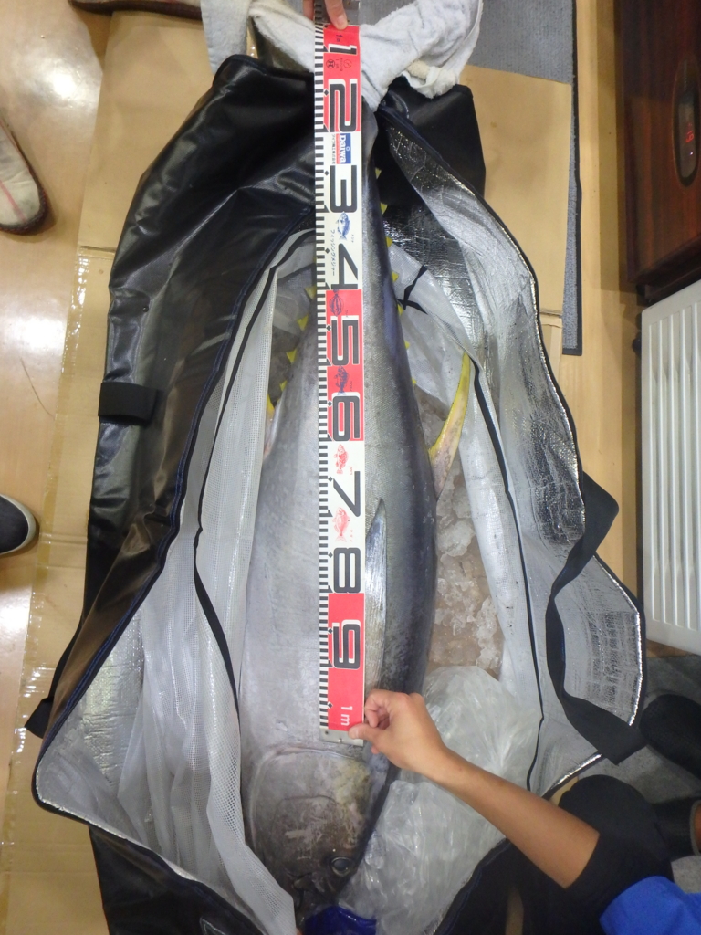 f:id:ishiguronumazu:20160915164130j:plain