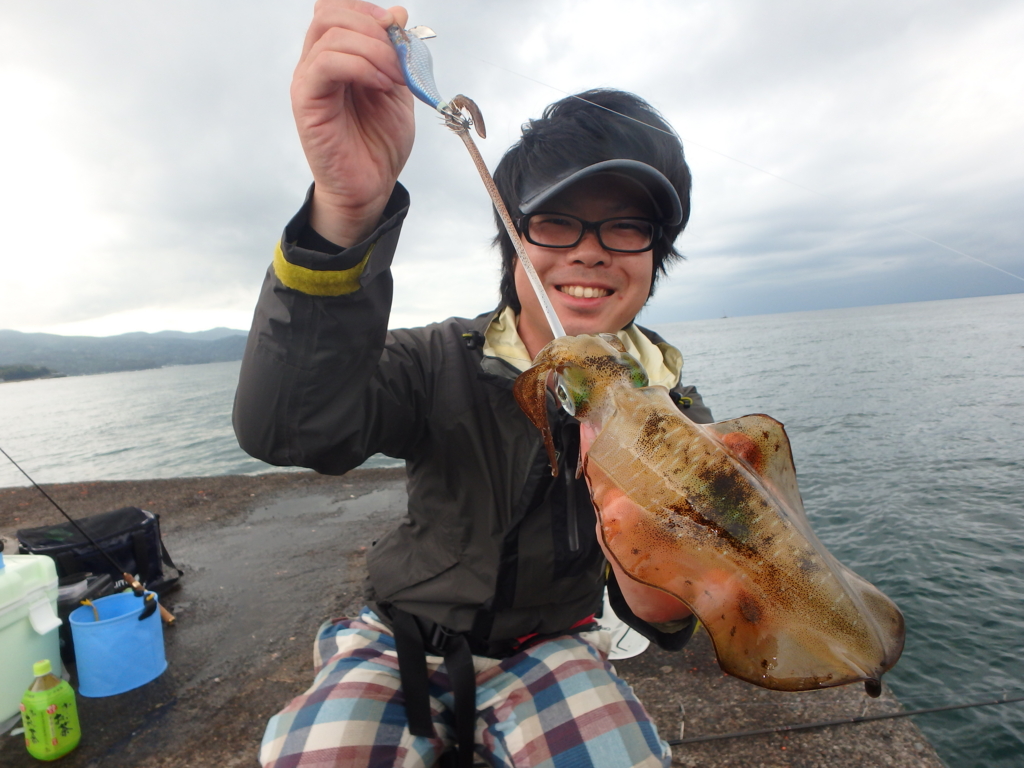 沼津周辺エギング カゴ釣り サビキ釣り情報 イシグロ沼津店スタッフブログ 沼グロ 沼津周辺エギング カゴ釣り サビキ釣り情報 イシグロ沼津店スタッフブログ 沼グロ