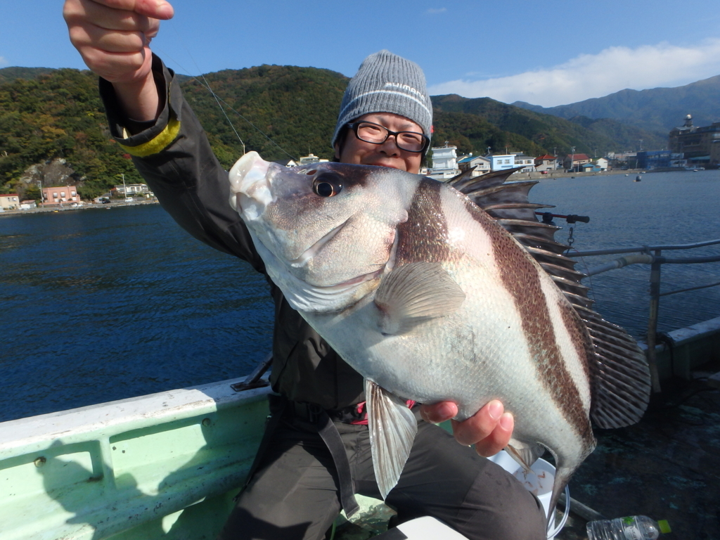 係留場所、貸します。船 船舶 釣り 初会合】漁港の係留場所を 