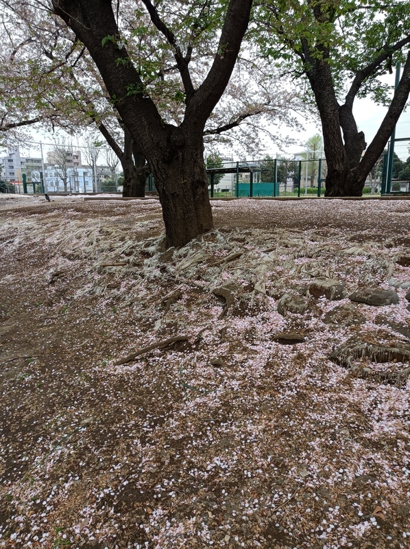 f:id:ishiij:20210402085304j:plain