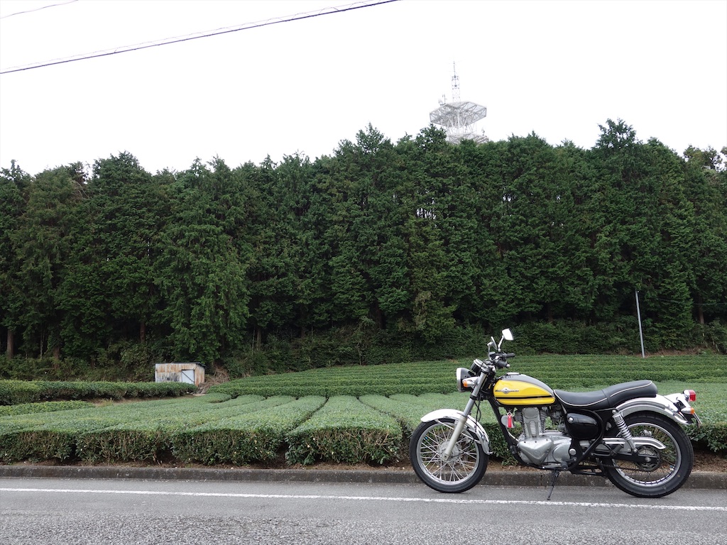 f:id:ishiiruka0421:20191224213322j:image f:id:ishiiruka0421:20191224213322j:image