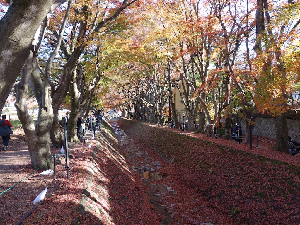 f:id:ishiiruka0421:20200103221001j:image f:id:ishiiruka0421:20200103221001j:image