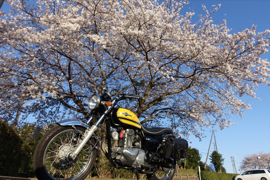f:id:ishiiruka0421:20200125202258j:image f:id:ishiiruka0421:20200125202258j:image