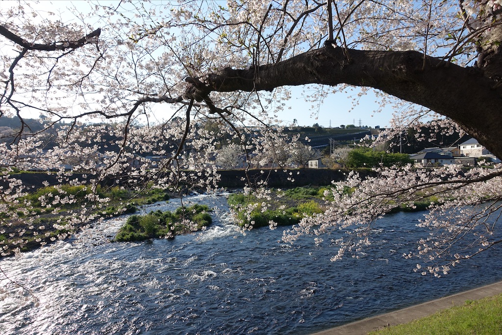 f:id:ishiiruka0421:20200125202311j:image f:id:ishiiruka0421:20200125202311j:image