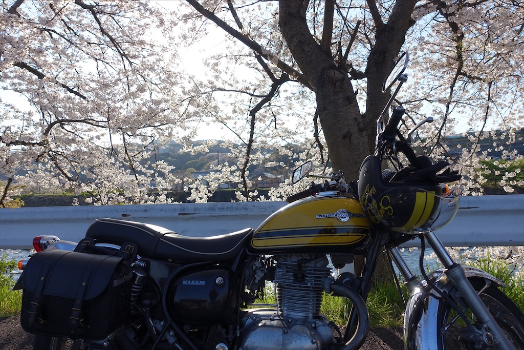 f:id:ishiiruka0421:20200125202317j:image f:id:ishiiruka0421:20200125202317j:image