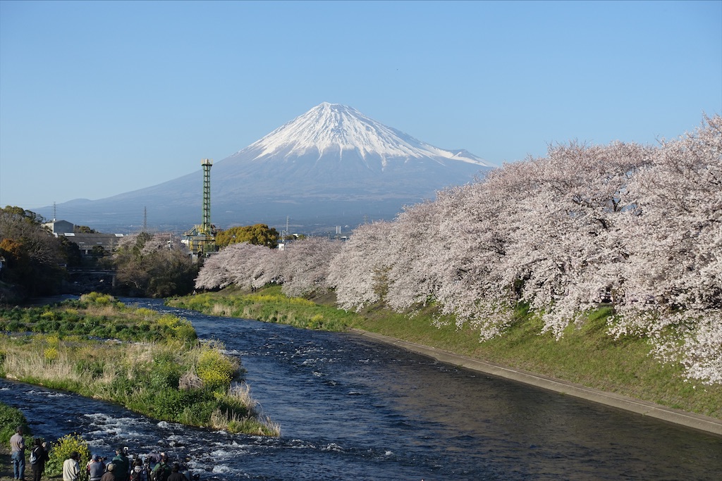 f:id:ishiiruka0421:20200125202356j:image f:id:ishiiruka0421:20200125202356j:image