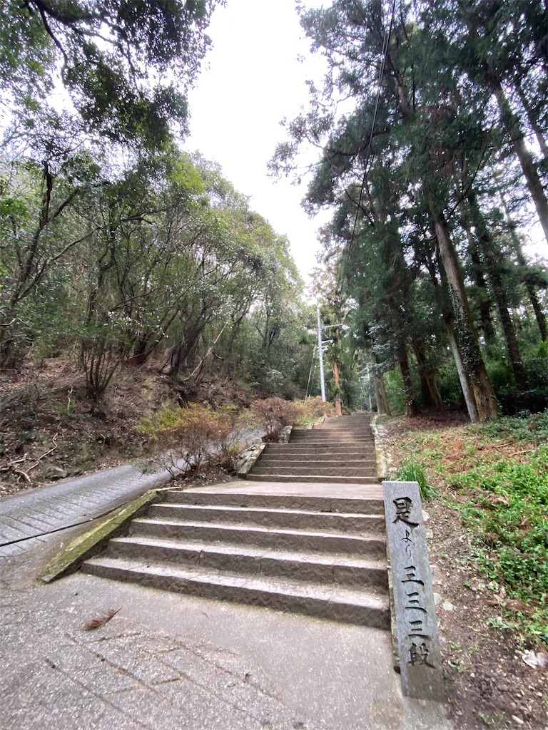 f:id:ishiiruka0421:20201229123708j:image