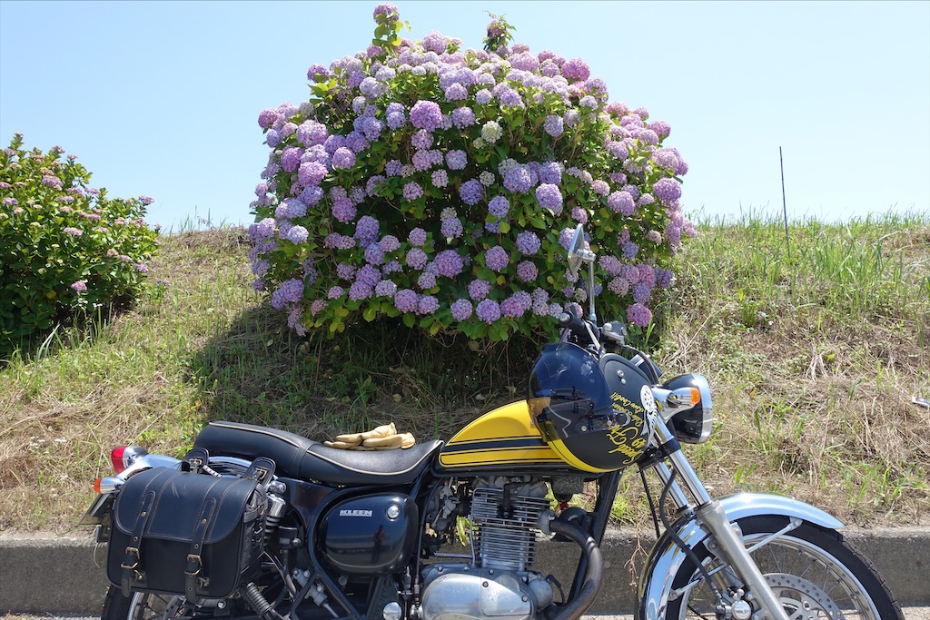 f:id:ishiiruka0421:20210127210437j:plain