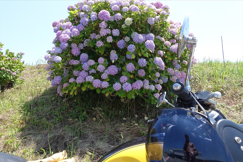 f:id:ishiiruka0421:20210127210444j:plain