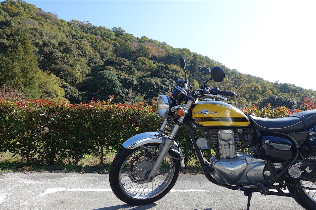 f:id:ishiiruka0421:20211018205325j:image