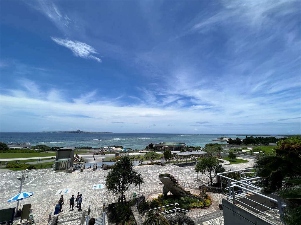 f:id:ishiiruka0421:20230806150942j:image