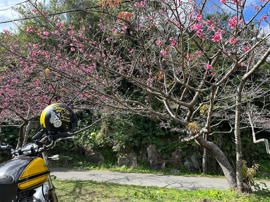 f:id:ishiiruka0421:20250110085729j:image f:id:ishiiruka0421:20250110085729j:image