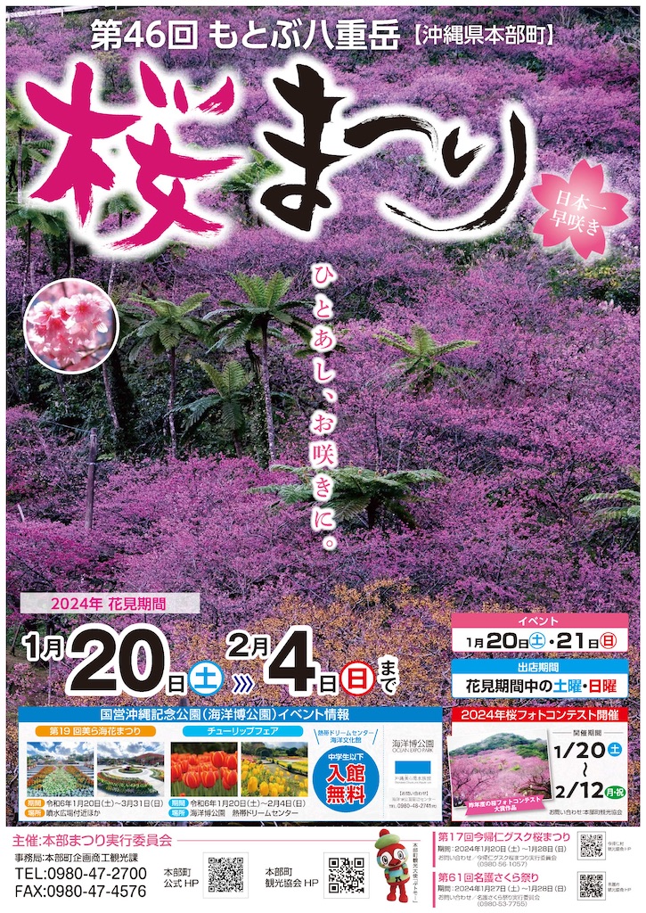 f:id:ishiiruka0421:20250110085759j:image f:id:ishiiruka0421:20250110085759j:image
