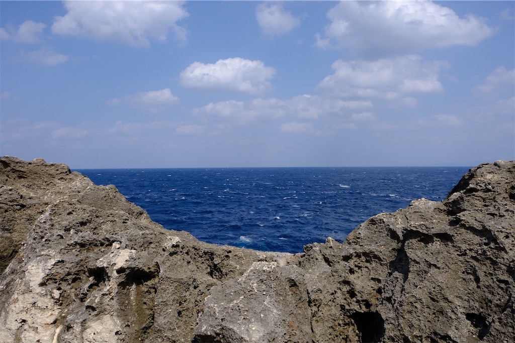 f:id:ishiiruka0421:20250207152500j:image f:id:ishiiruka0421:20250207152500j:image