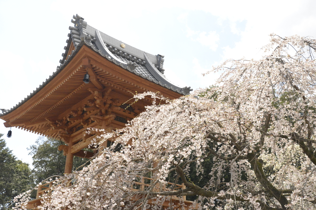 f:id:ishiiyoshito:20190331160203j:plain