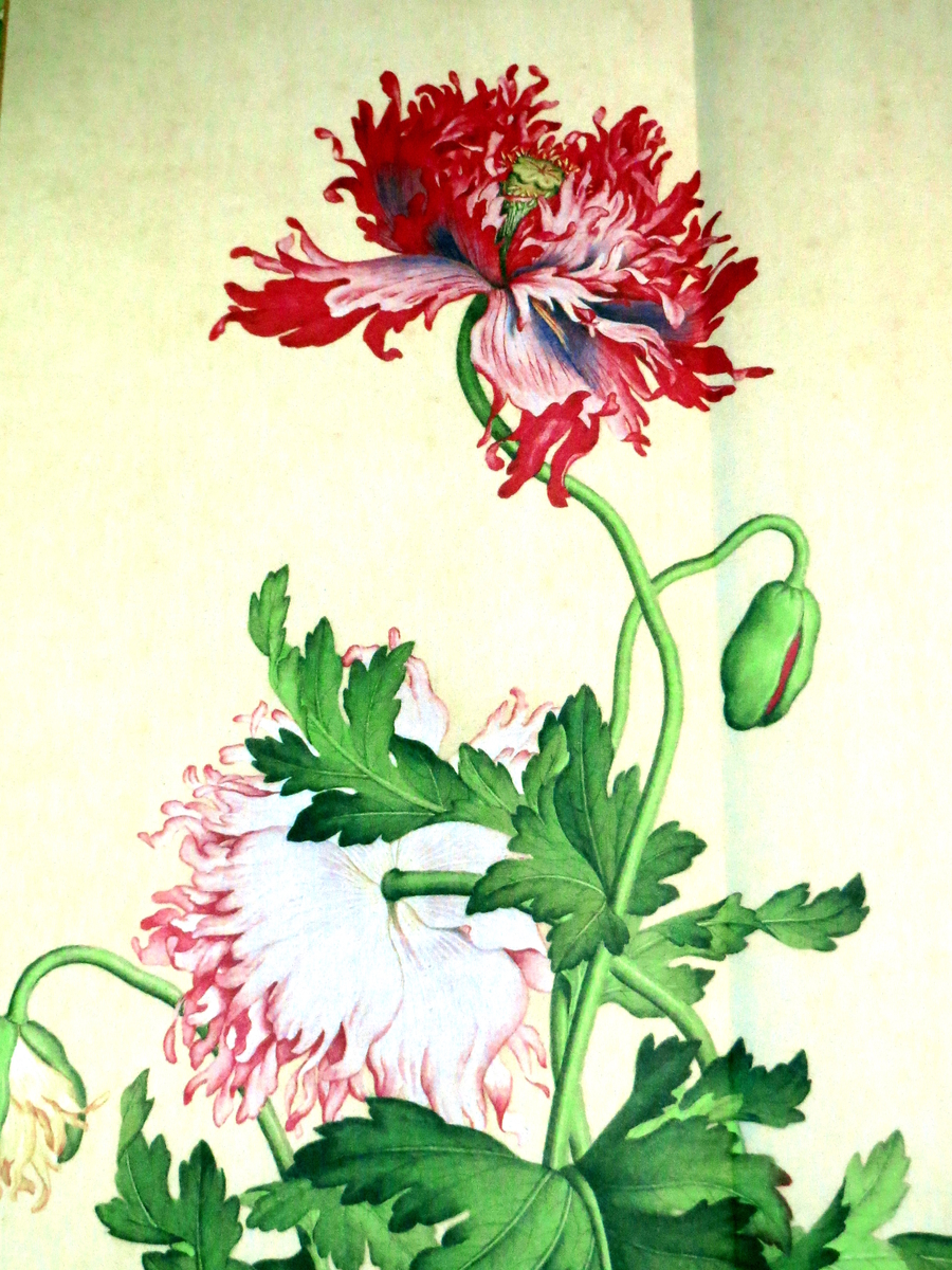 中国 清代 中国名師 郎世寧 花卉人物山水古絵 安】中国清時代画家「郎世寧書」絹本「清代皇帝像図7条屏」掛軸