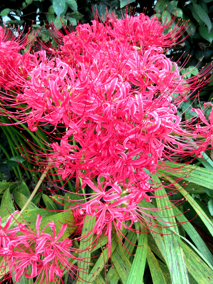 f:id:ishiiyoshito:20210918133924j:plain