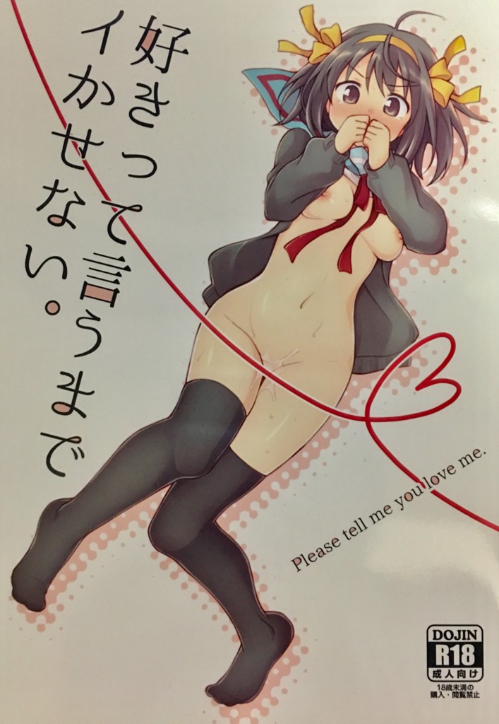 f:id:ishijimaeiwa:20170113204408j:plain