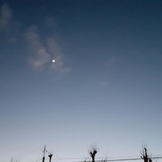 f:id:ishikawa-kz:20220207002902j:image f:id:ishikawa-kz:20220207002902j:image