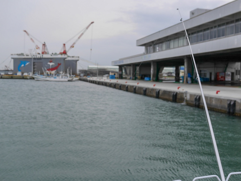 久慈漁港で海釣り! 茨城県日立市久慈町