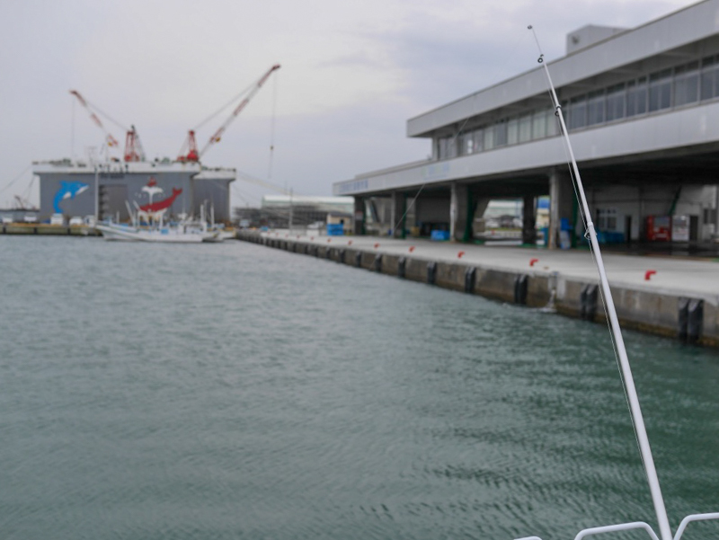 久慈漁港で海釣り！ 茨城県日立市久慈町