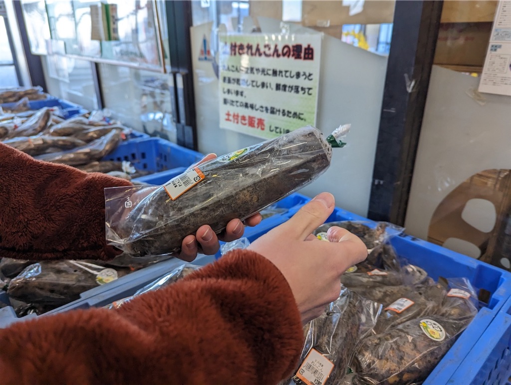 f:id:ishikeri135:20230128184518j:image