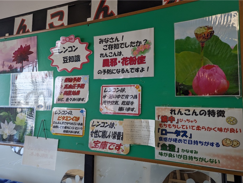 f:id:ishikeri135:20230128184635j:image