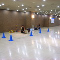 20080802005341