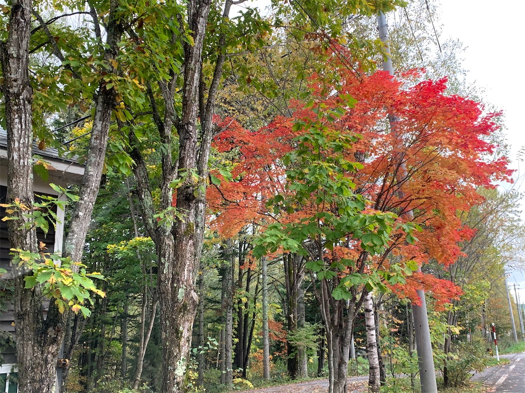 f:id:ishikotororo:20211011151025j:image f:id:ishikotororo:20211011151025j:image