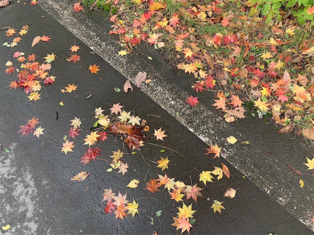 f:id:ishikotororo:20211011152324j:image f:id:ishikotororo:20211011152324j:image