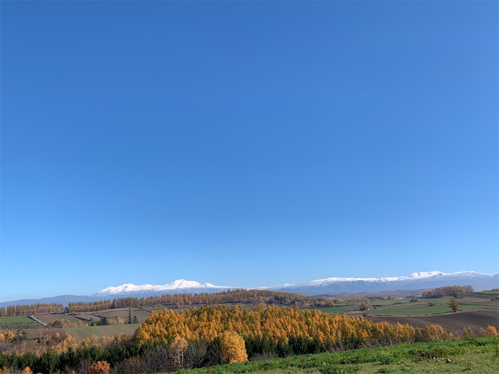 f:id:ishikotororo:20211031215953j:image f:id:ishikotororo:20211031215953j:image