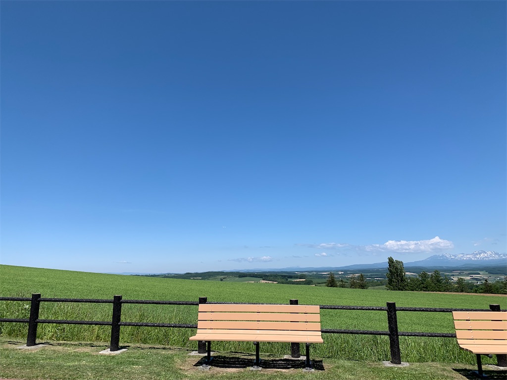 f:id:ishikotororo:20220607124001j:image f:id:ishikotororo:20220607124001j:image