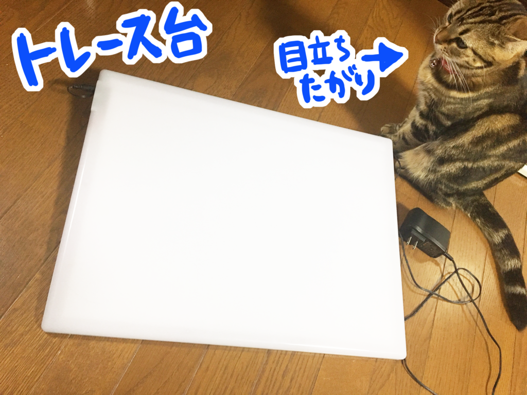 f:id:ishimarujirushi:20170403211553p:plain f:id:ishimarujirushi:20170403211553p:plain