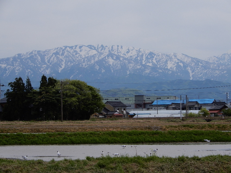 イメージ 4