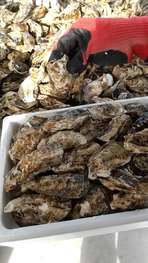 f:id:ishiyan8:20210101154237j:plain