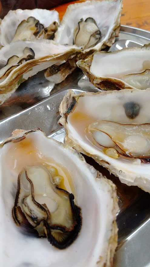 f:id:ishiyan8:20210101154350j:plain