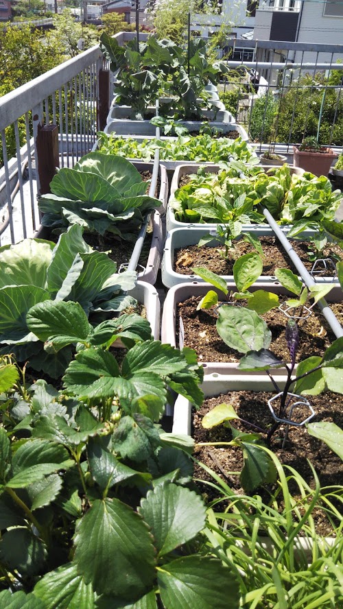 f:id:ishiyan8:20210101231711j:plain