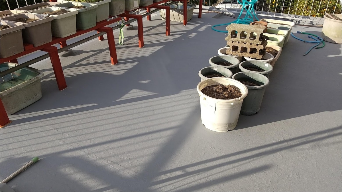 f:id:ishiyan8:20210103160818j:plain