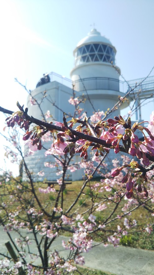 f:id:ishiyan8:20210105121335j:plain