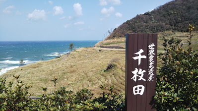 f:id:ishiyan8:20210105145740j:plain