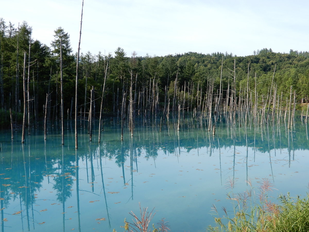 f:id:ishiyan8:20210107165339j:plain