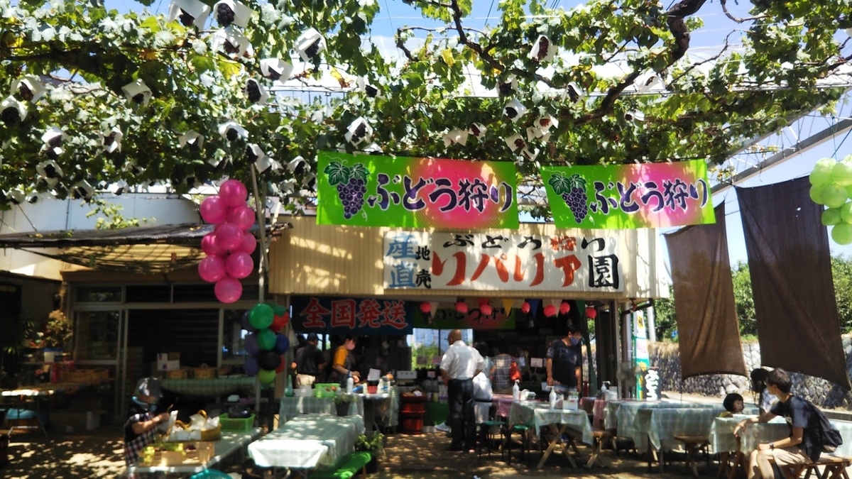 f:id:ishiyan8:20210107175101j:plain