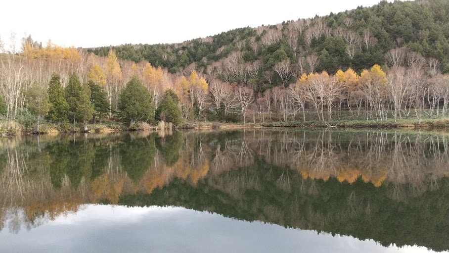 f:id:ishiyan8:20210107221810j:plain