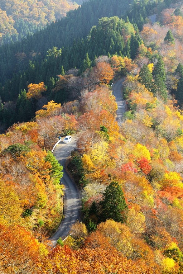 f:id:ishiyan8:20210318113259j:plain