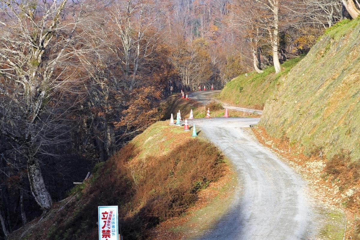 f:id:ishiyan8:20210318125320j:plain