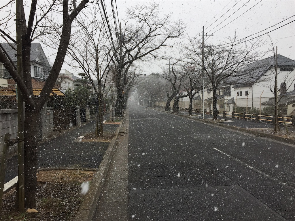 f:id:ishiyoshi1444:20170114153529j:image f:id:ishiyoshi1444:20170114153529j:image