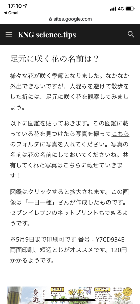 f:id:ishiyuuka:20200505172126p:plain f:id:ishiyuuka:20200505172126p:plain